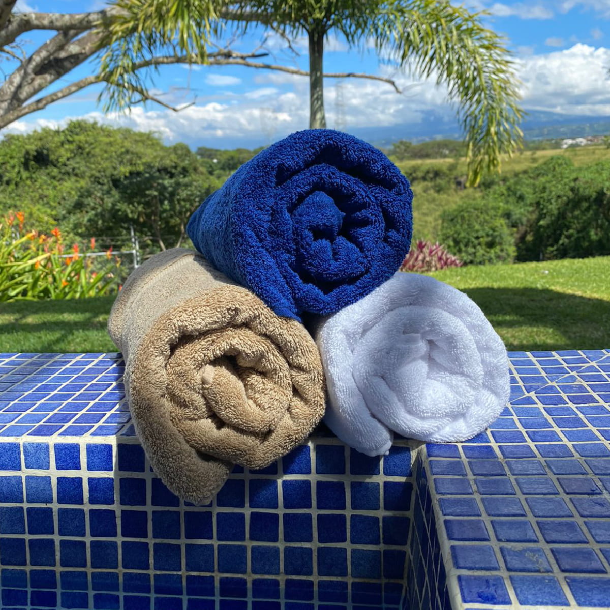 Producto Faro
